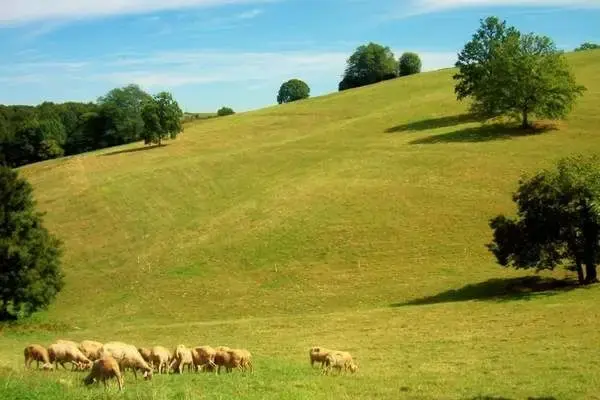 La Bergerie de Céline