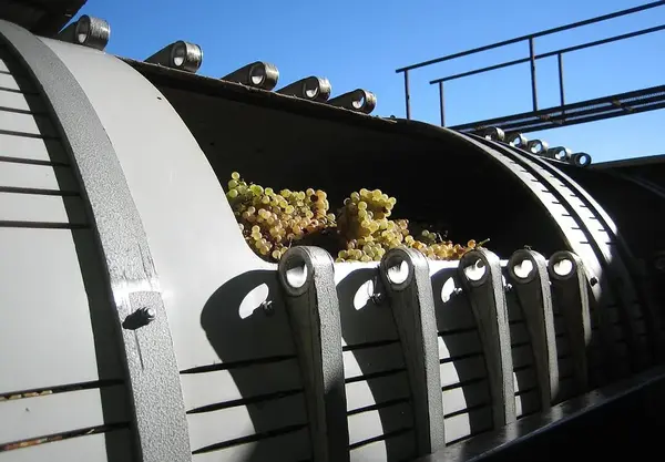 Domaine Chateau Tour Blanc